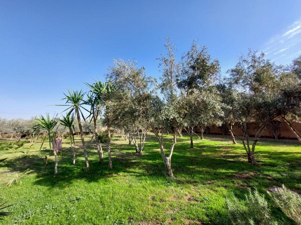 Manzal Lahbab Bed & Breakfast Marrakesh Exterior photo